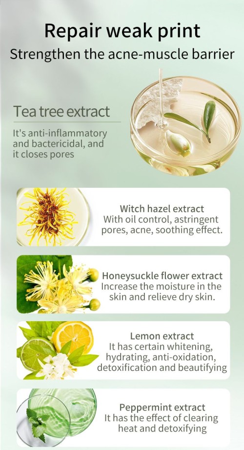 Camellia anti-acne skin mask, honeysuckle salicylic acid mask