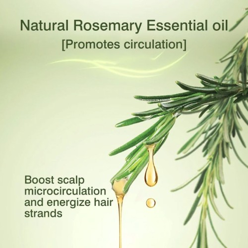 Rosemary Hair Care Essential oil, Rosemary Shampoo, Hair Growth, hair Growth essential oil